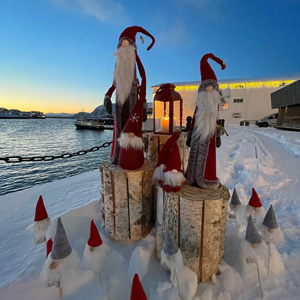 Artico Artico Christmas House